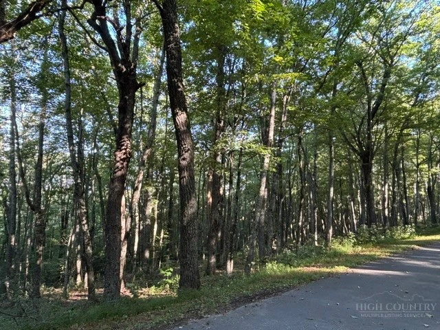Image number 2 for the current listing