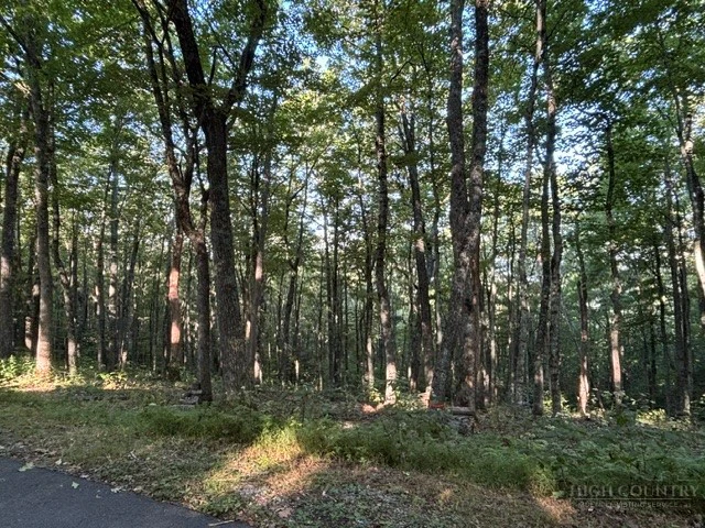 Image number 4 for the current listing