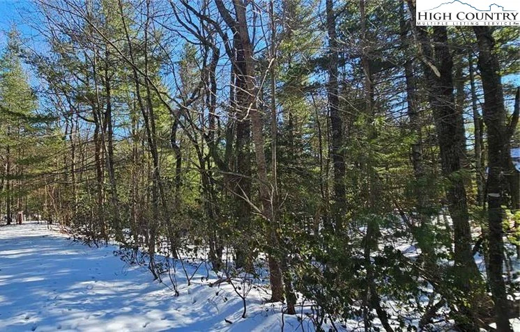 Image number 1 for the current listing