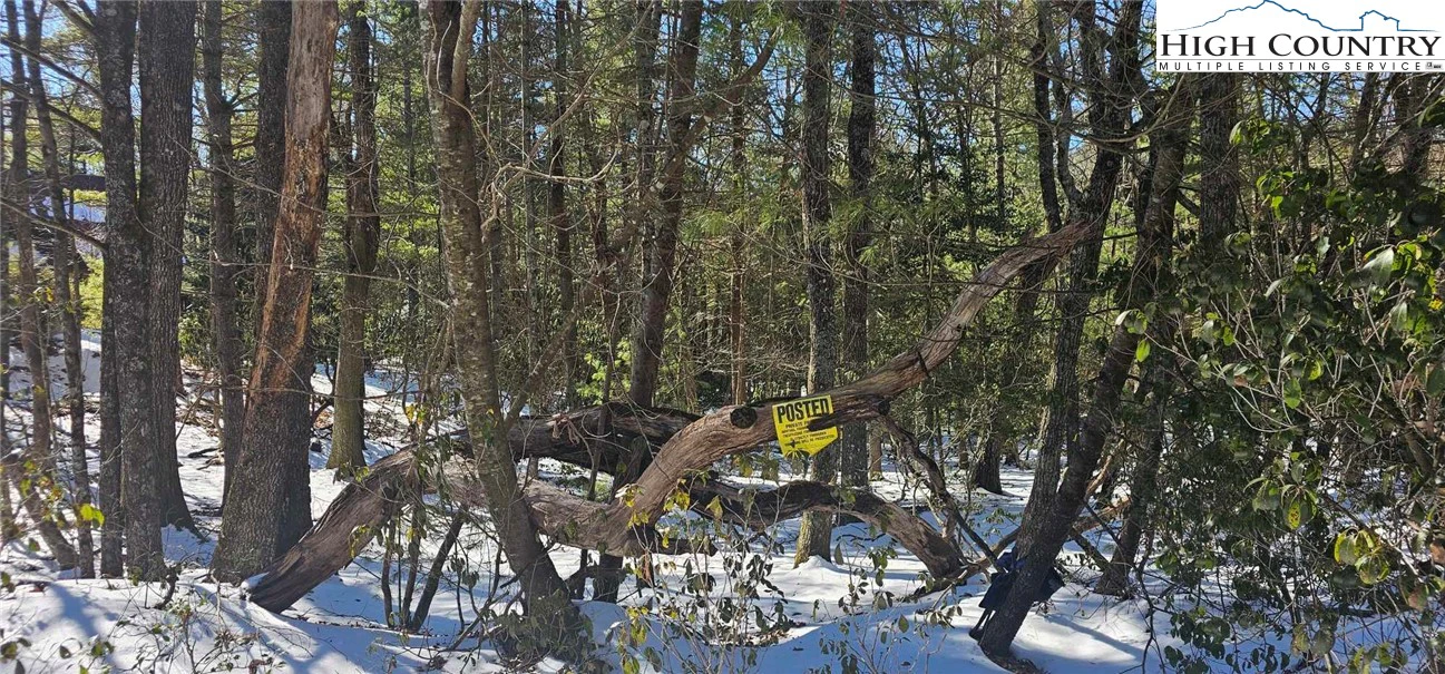 Image number 4 for the current listing