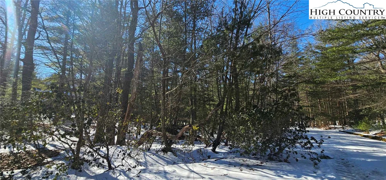 Image number 3 for the current listing