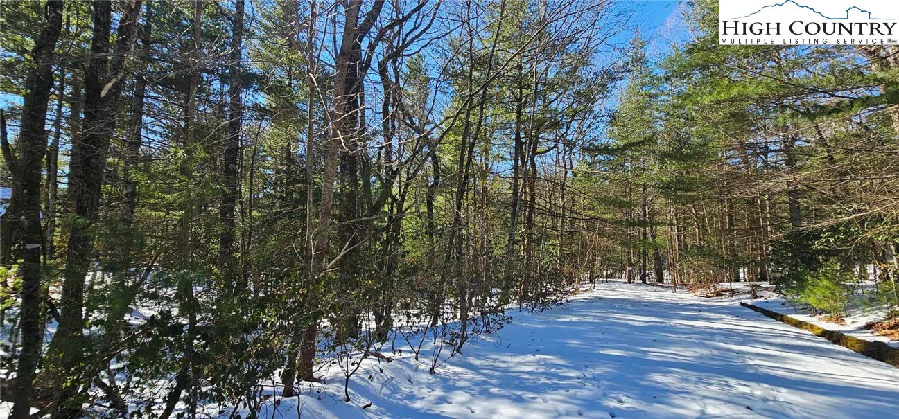 Image number 1 for the current listing