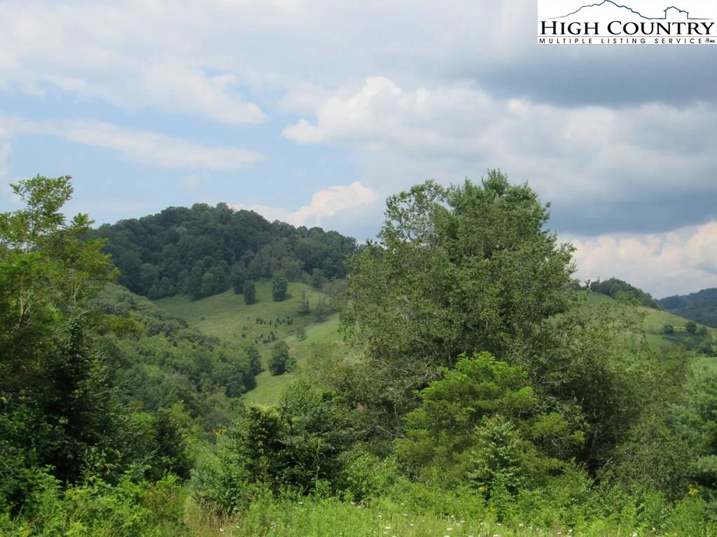 Image number 1 for the current listing
