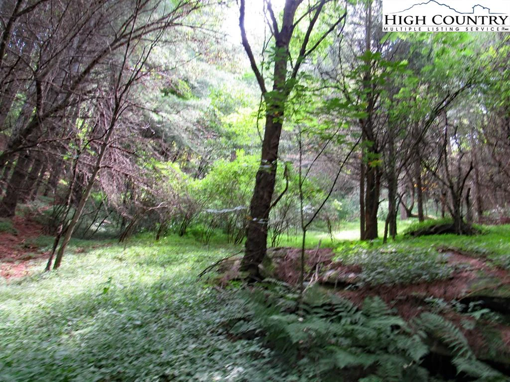 Image number 18 for the current listing