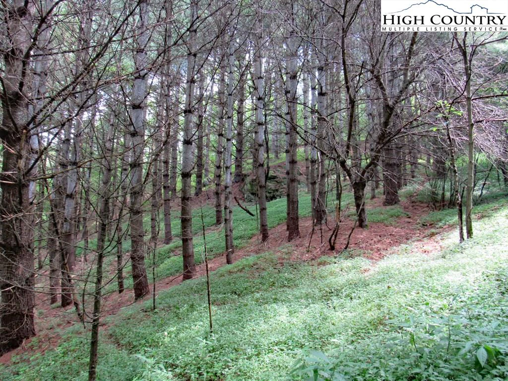 Image number 17 for the current listing