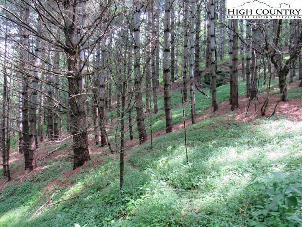 Image number 16 for the current listing