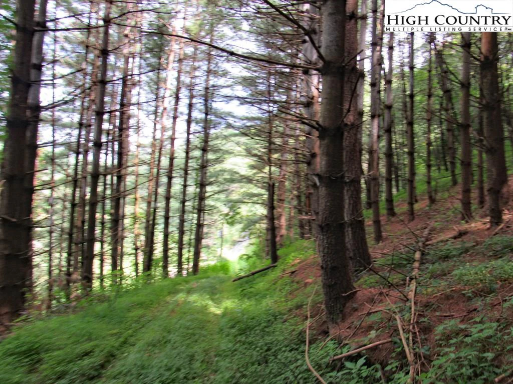 Image number 2 for the current listing