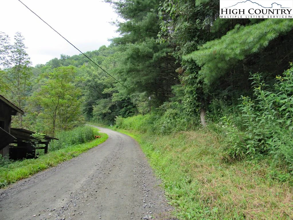 Image number 15 for the current listing