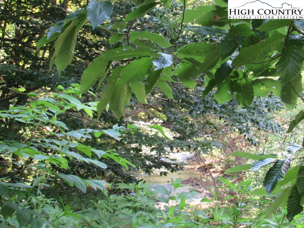 Image number 9 for the current listing