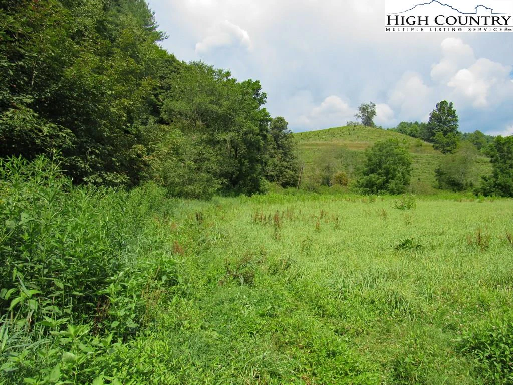 Image number 7 for the current listing