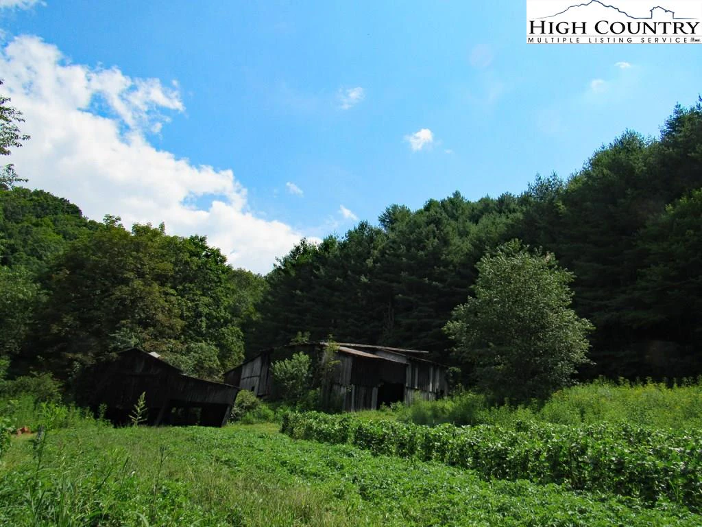Image number 6 for the current listing