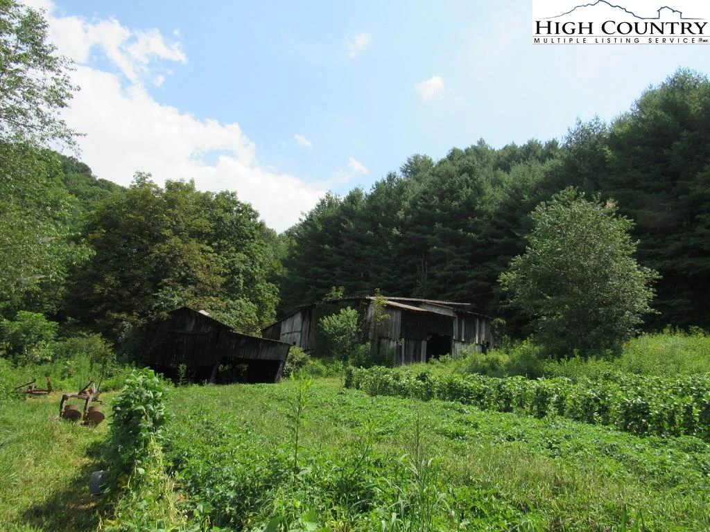 Image number 5 for the current listing