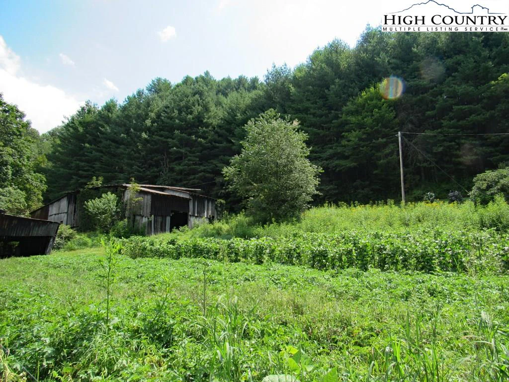Image number 4 for the current listing