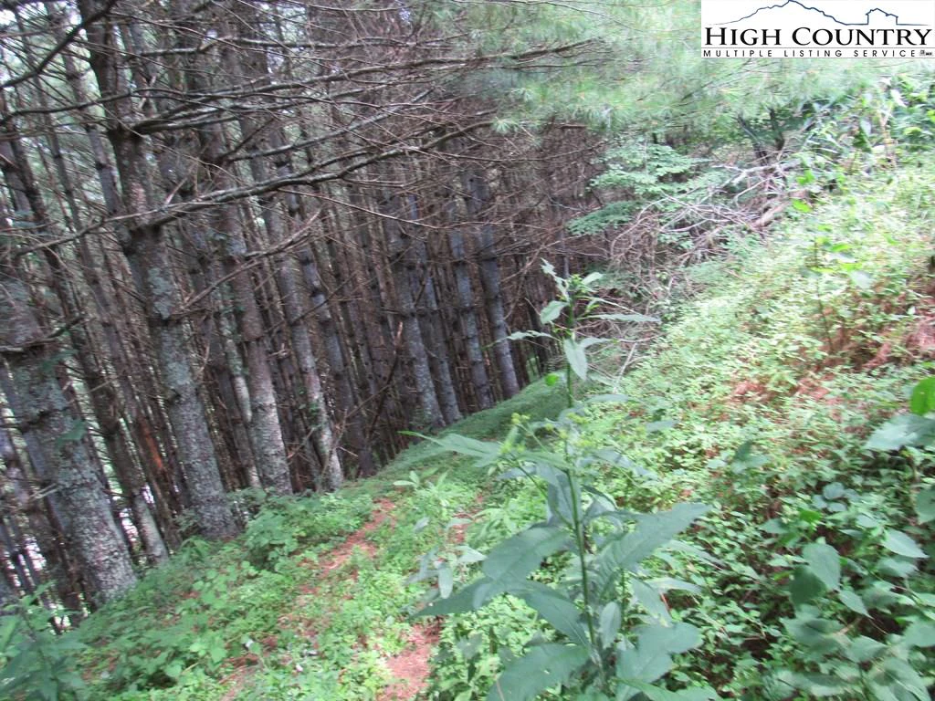 Image number 21 for the current listing