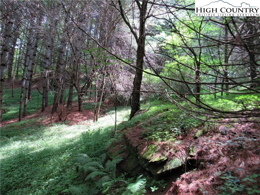 Image number 20 for the current listing