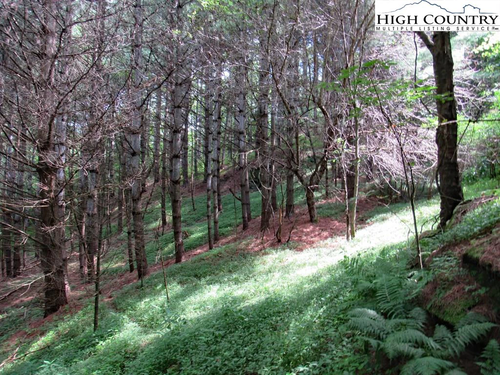 Image number 19 for the current listing