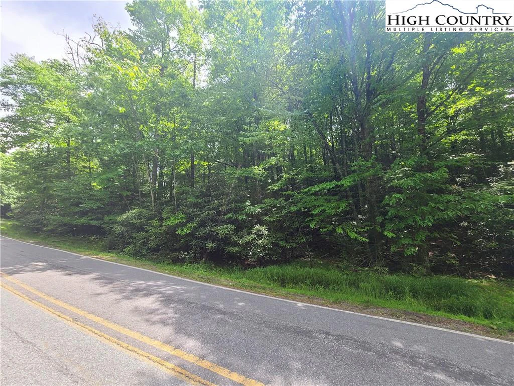Image number 1 for the current listing
