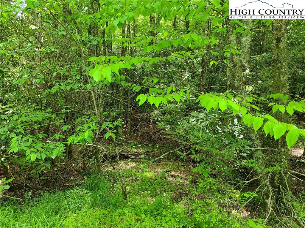 Image number 3 for the current listing