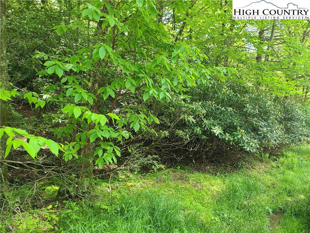 Image number 4 for the current listing