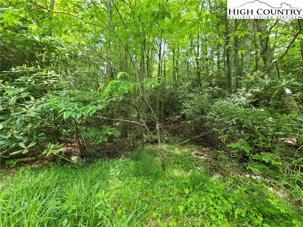 Image number 5 for the current listing