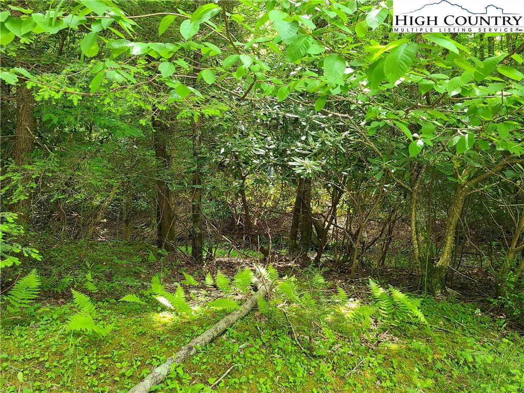 Image number 6 for the current listing