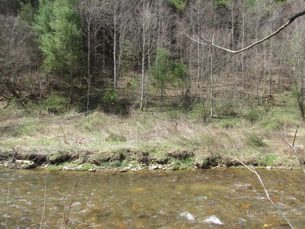 Image number 9 for the current listing