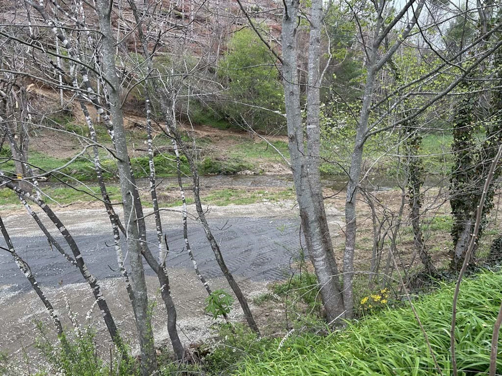 Image number 11 for the current listing