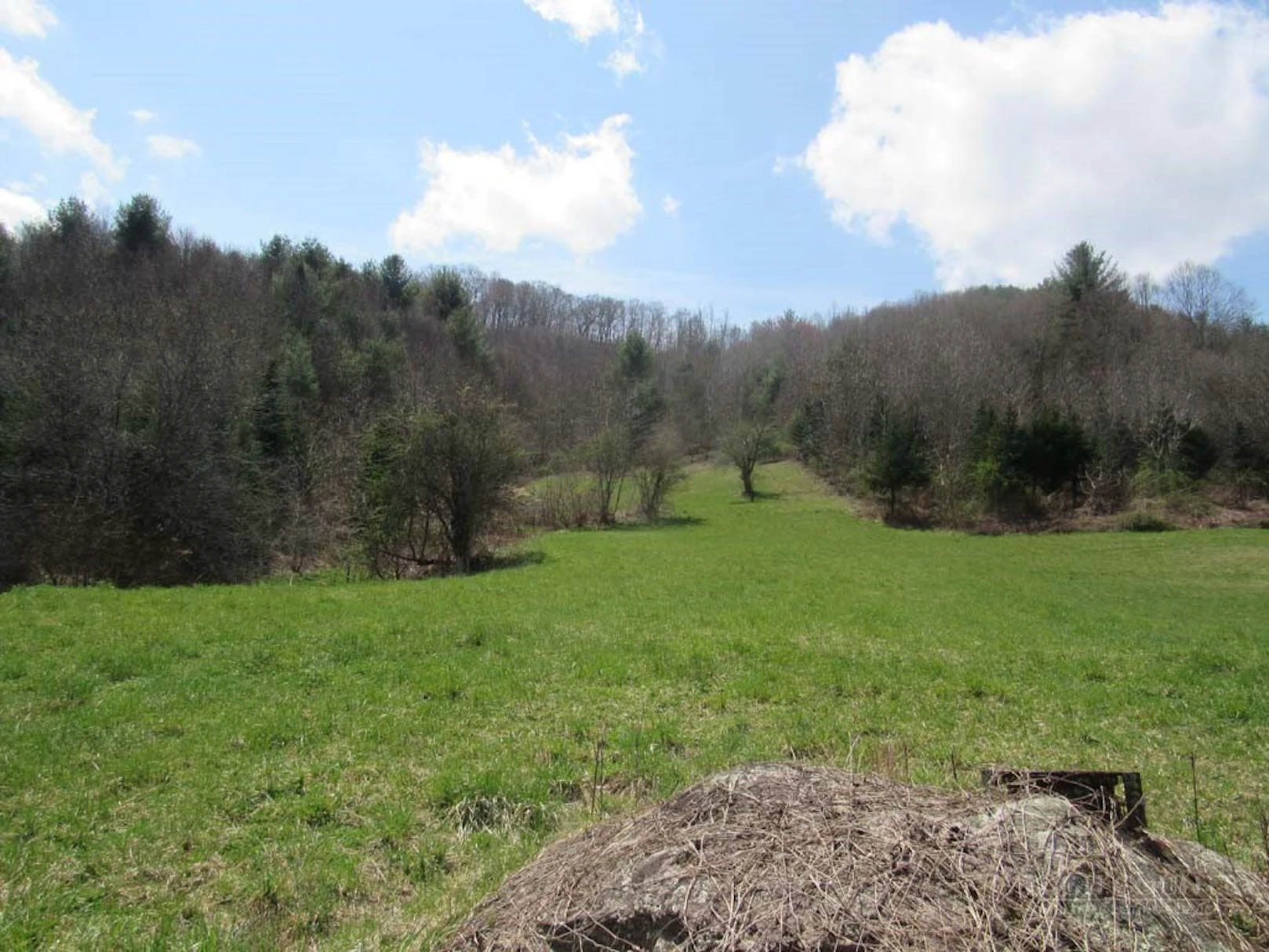 Image number 13 for the current listing
