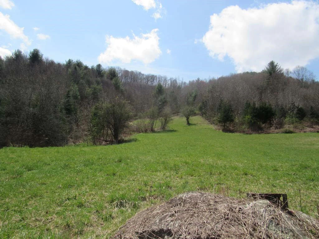 Image number 13 for the current listing
