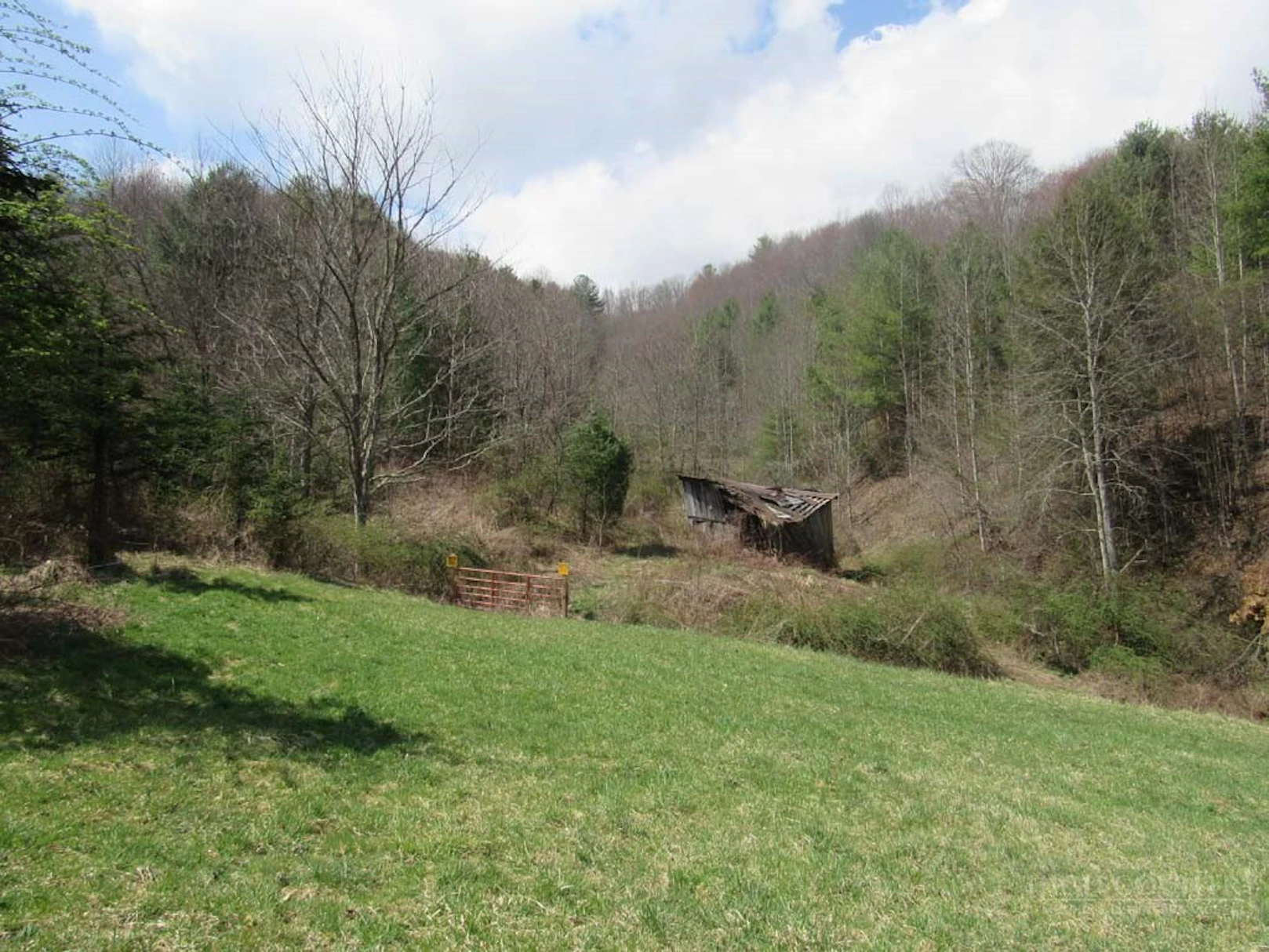 Image number 14 for the current listing