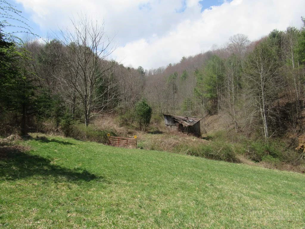 Image number 14 for the current listing