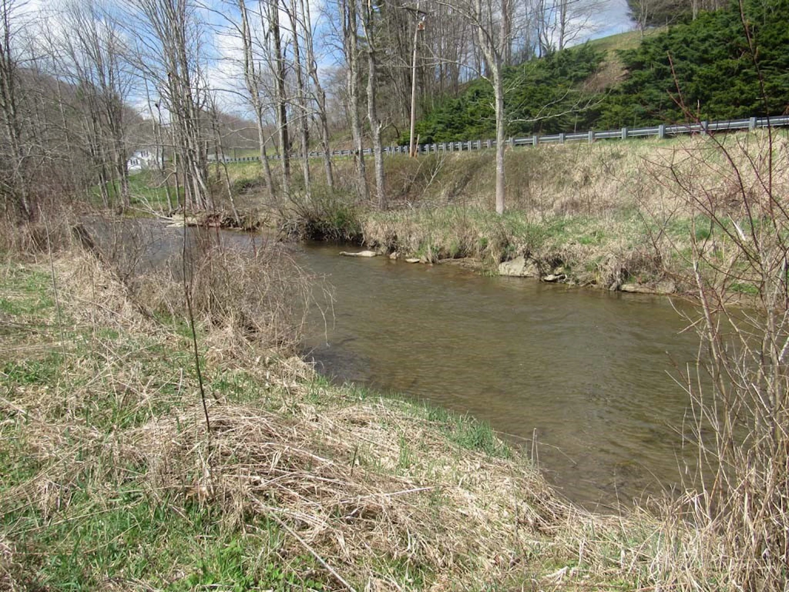Image number 16 for the current listing