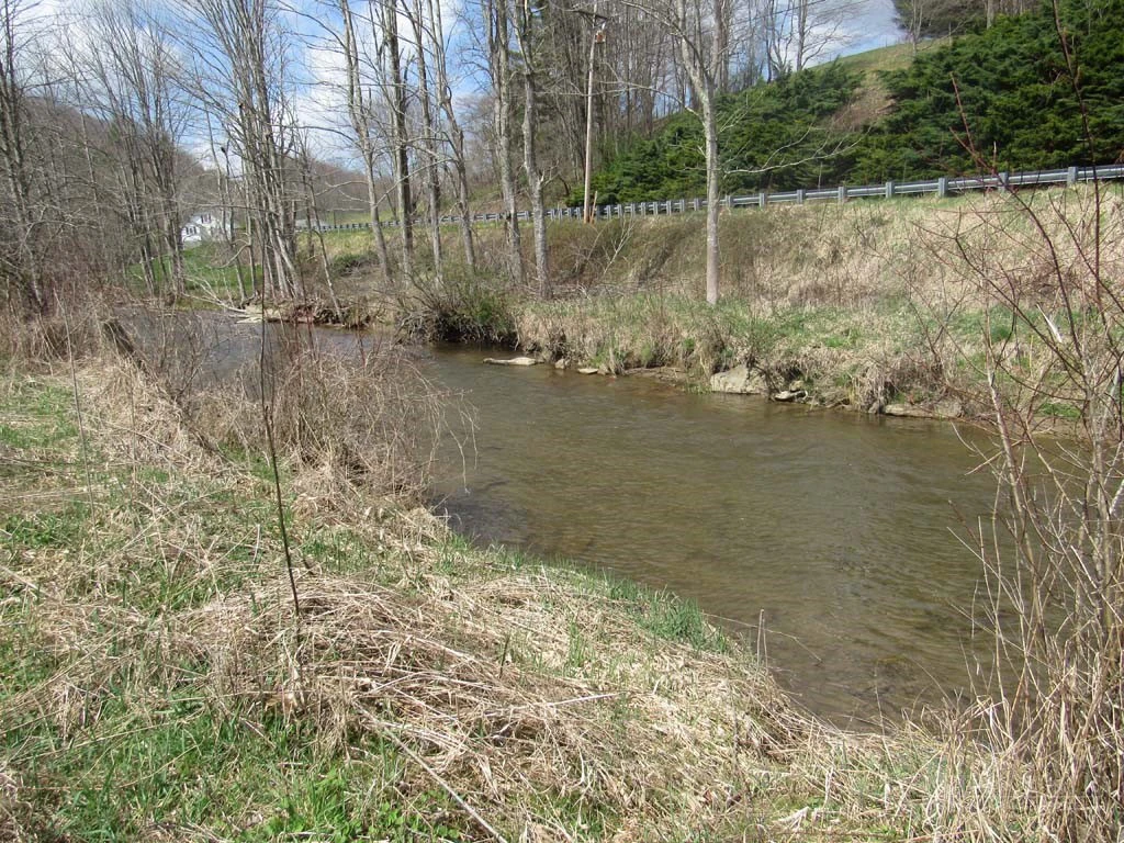Image number 16 for the current listing