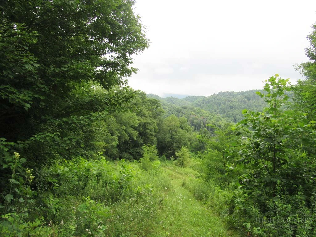 Image number 2 for the current listing