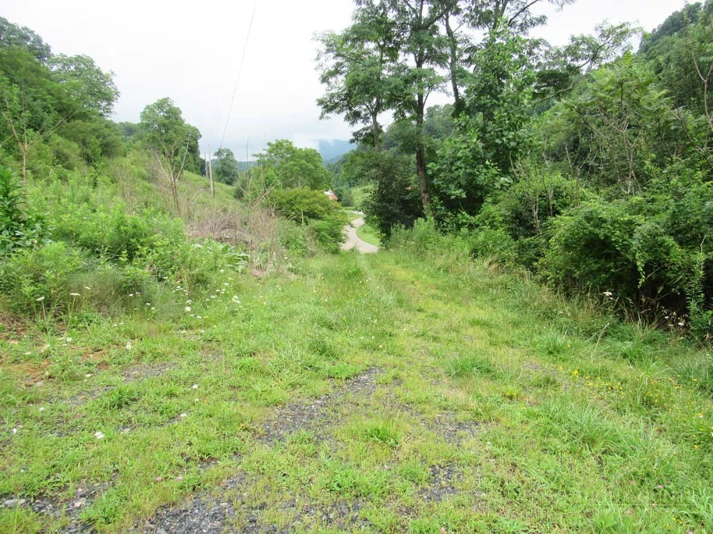 Image number 3 for the current listing
