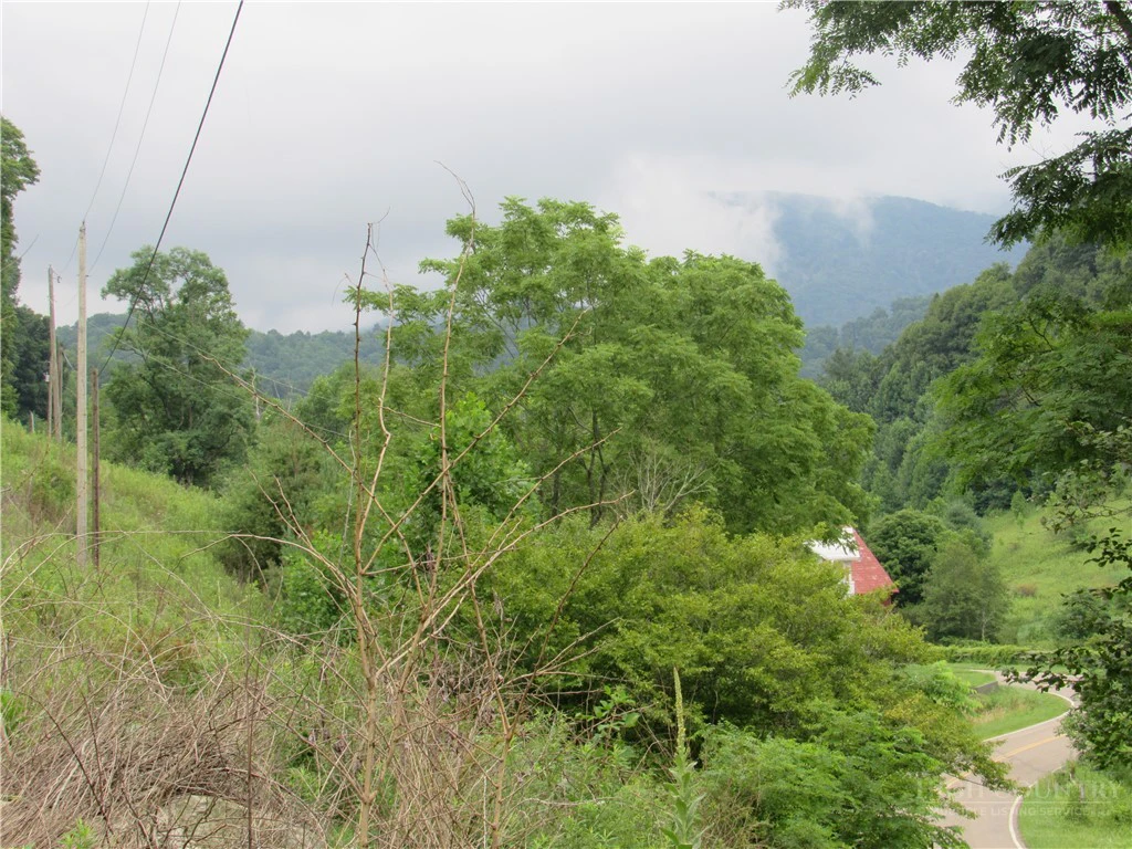 Image number 4 for the current listing