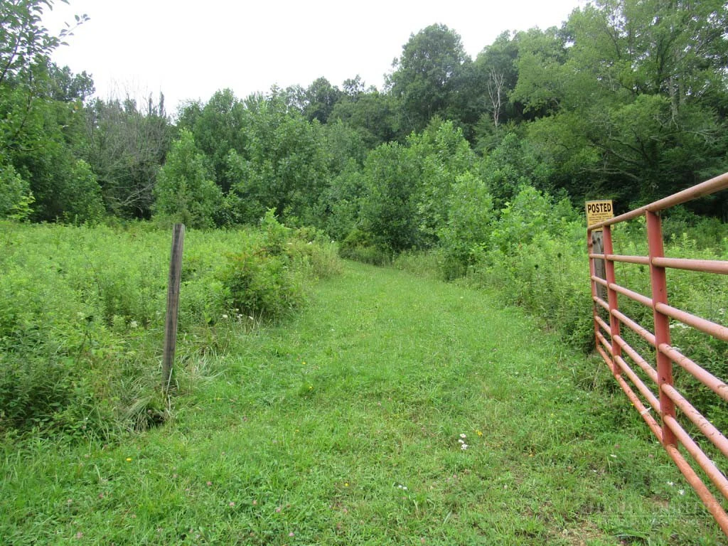 Image number 5 for the current listing