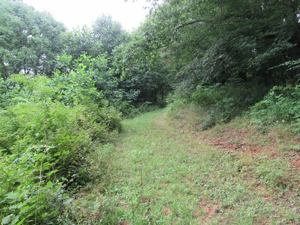 Image number 6 for the current listing