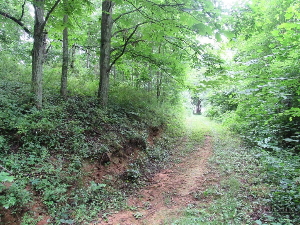 Image number 7 for the current listing
