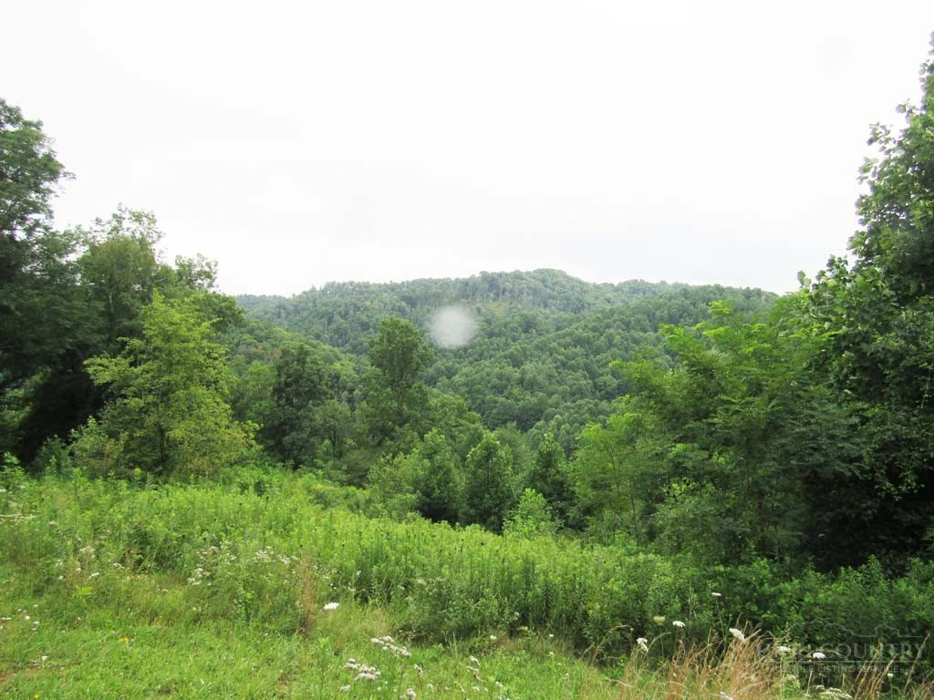Image number 8 for the current listing