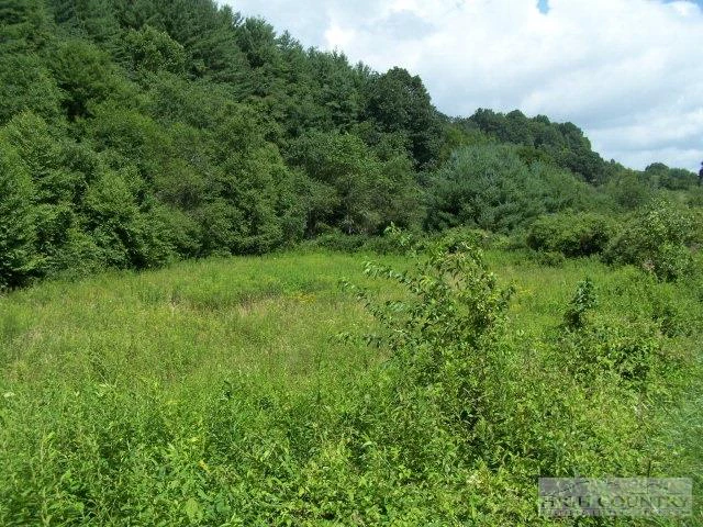 Image number 3 for the current listing