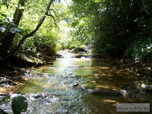 Image number 4 for the current listing