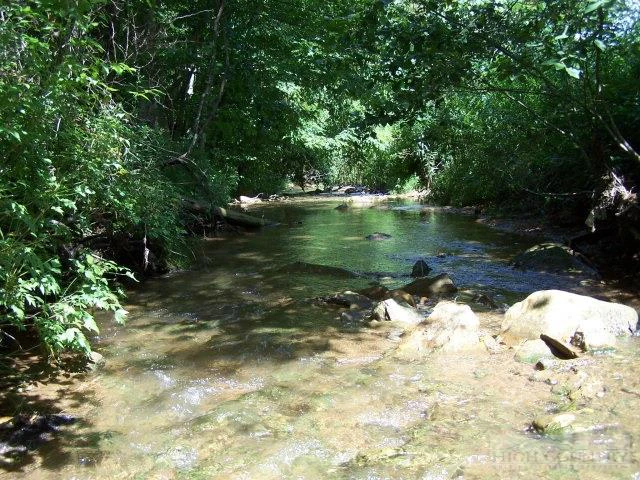 Image number 5 for the current listing