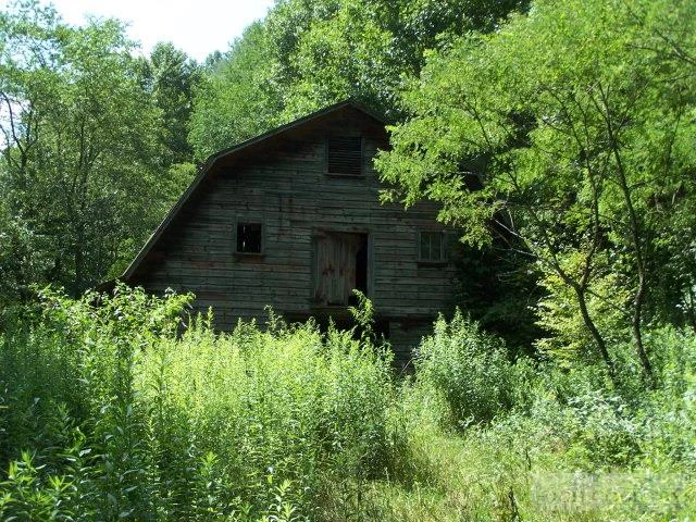 Image number 6 for the current listing
