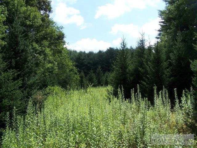 Image number 7 for the current listing
