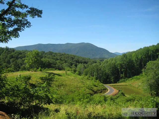 Image number 1 for the current listing