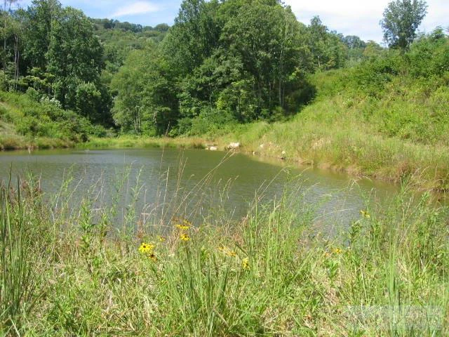Image number 3 for the current listing