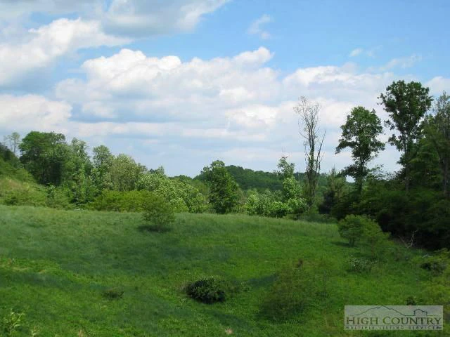 Image number 6 for the current listing