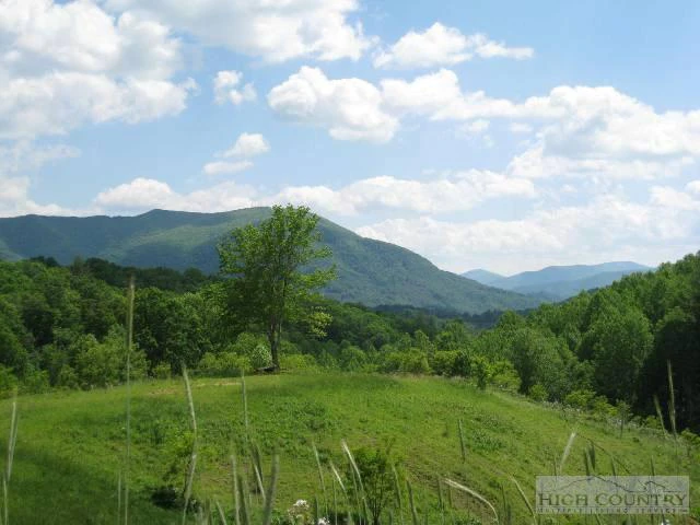 Image number 7 for the current listing
