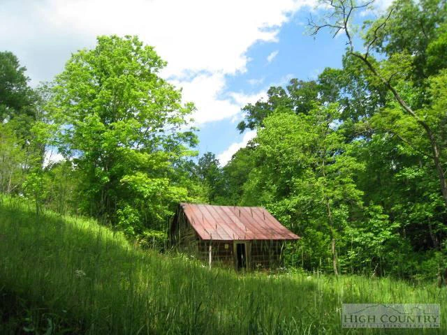 Image number 8 for the current listing